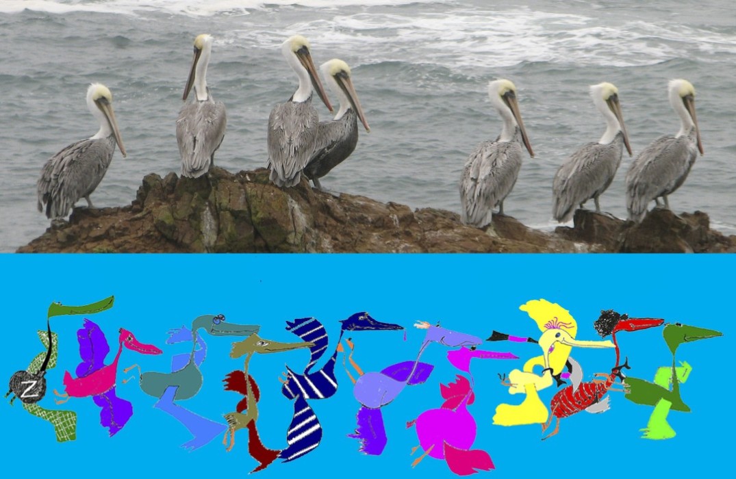 Pelican Family Series Childrens Book Characters and Real Pelicans Why Write A Children's Book Image