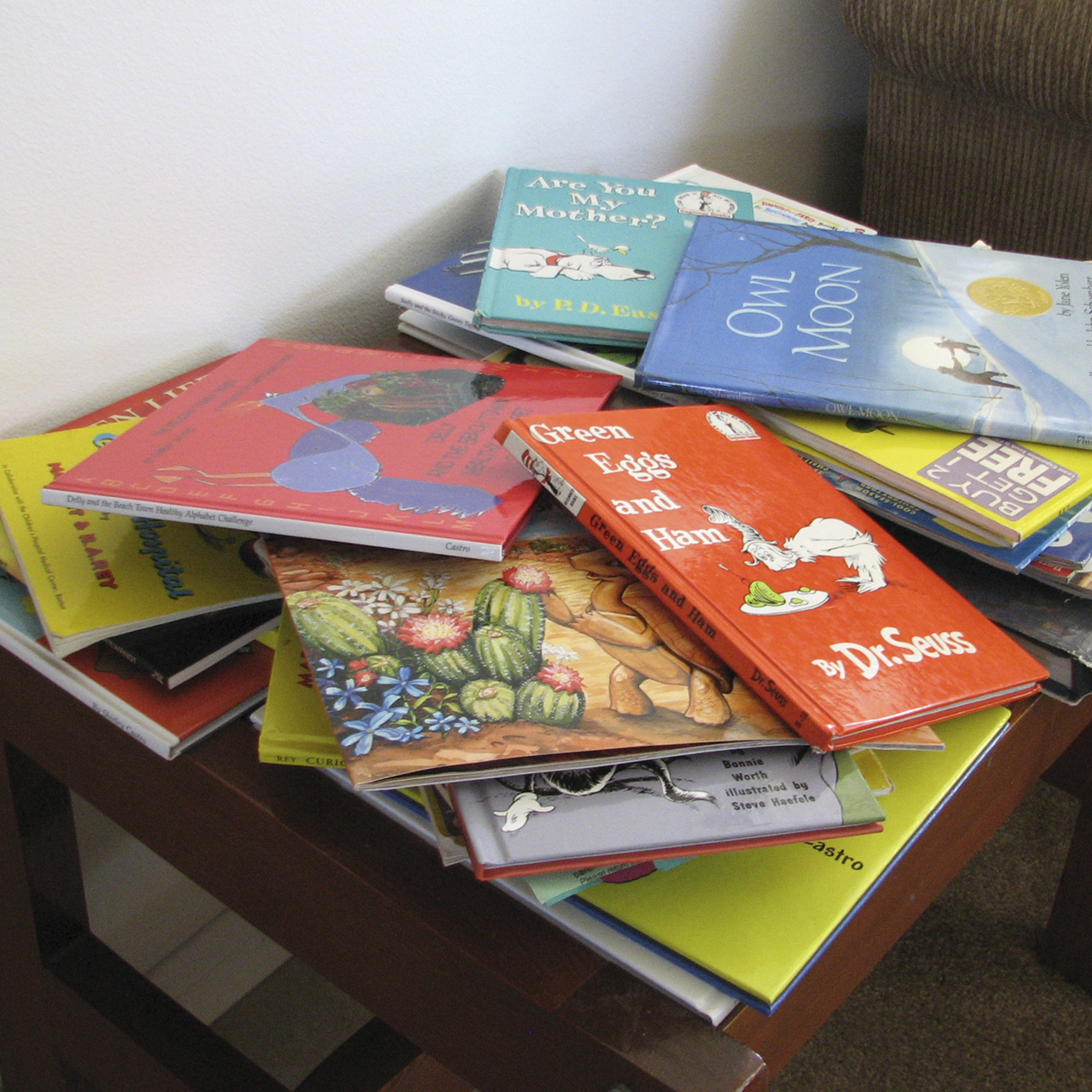Pelican Family Series Children's Picture Books Blog Post 28 create a reader friendly home books on a table