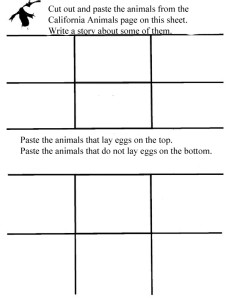 Pelican Family Series Animal Pictures Activity Worksheet 2