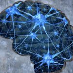 Brain Development New Technology