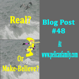 Real Or Make-Believe